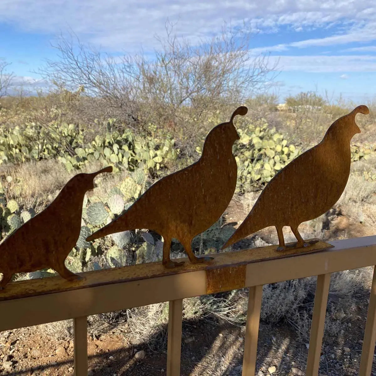 Rusted metal quail close up picture.